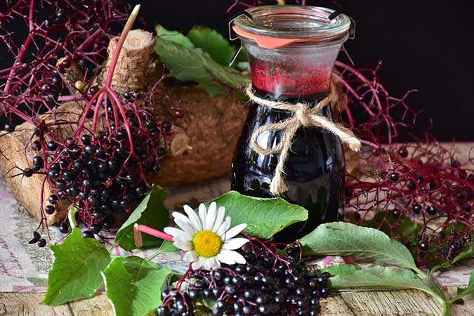 Elderberry