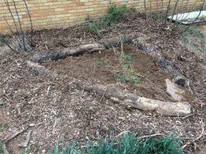 Weed garden - post weeding