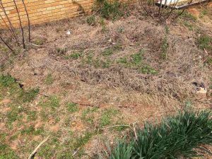 Weed garden - pre weeding