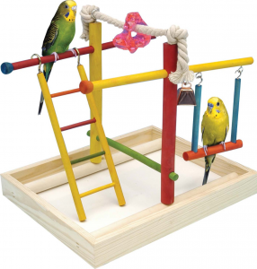 Try using parakeet toys to keep your baby chicks busy!