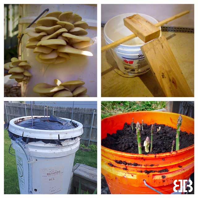Uses for Buckets