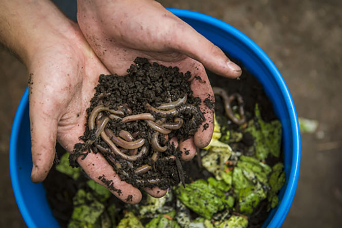 Reuse your 5-gallon buckets as worm farms. They're perfect for vermicomposting! (The Grow Network)