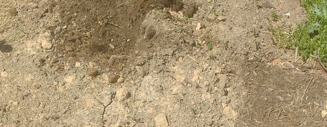 Garden Soil Play-in-the-Dirt-1