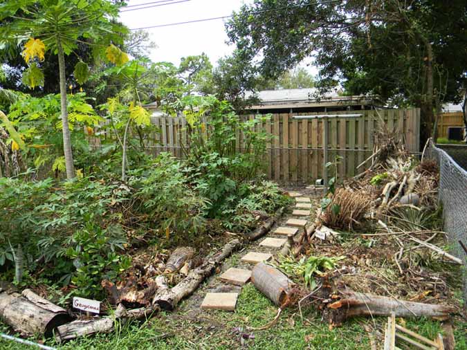 SouthFLFoodForest7-122 - Composting Storm Debris - 4