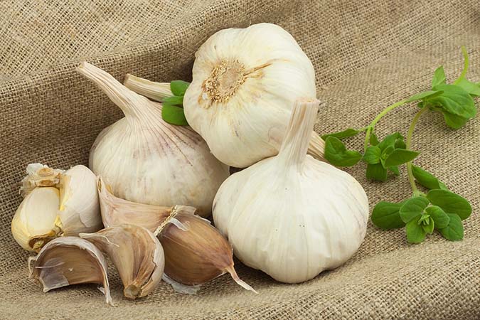Eating garlic can help prevent and heal gum disease (The Grow Network)