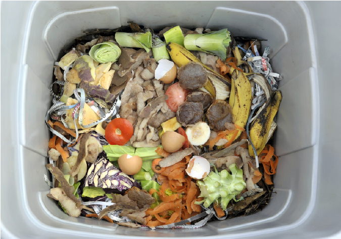 Solutions for composting in a small space, apartment, or condo! | The Grow Network