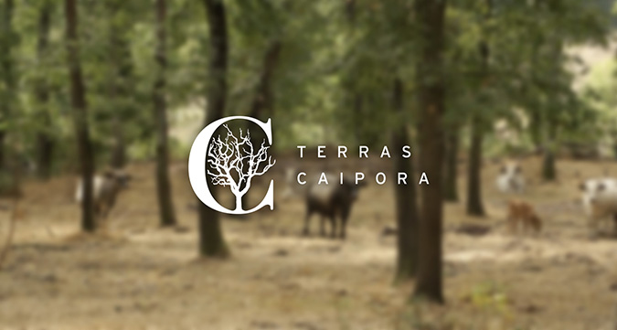 Logo - Terras Caipora