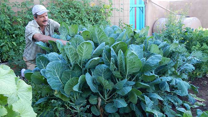 Tom Bartels - Double Your Yields With Half the Work - 2