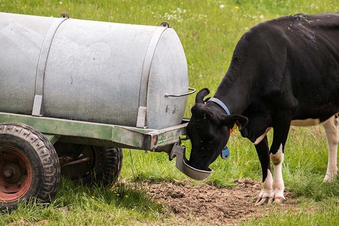 7 Ways to Keep Livestock Water From Freezing
