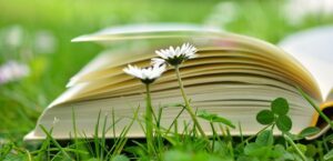 Recommended Books About Herbal Medicine