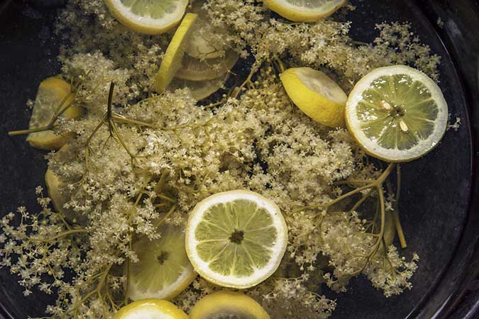 Making lemon elderberry jam (The Grow Network)