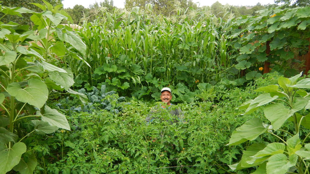 How to Create Living Soil And Why You Should The Grow Network