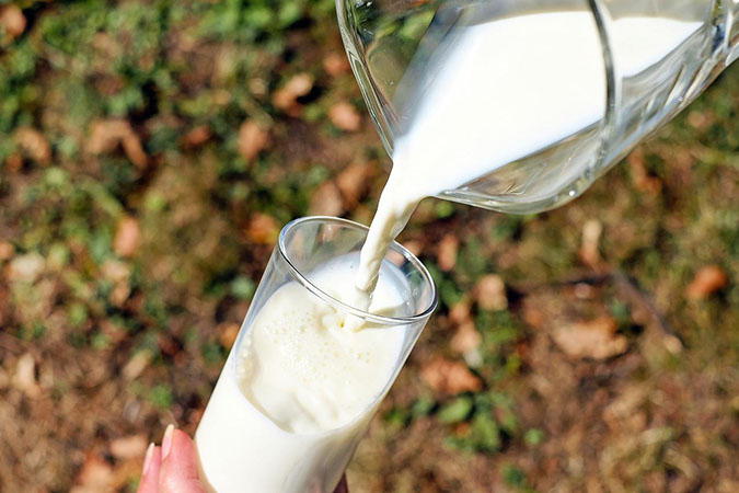 Homemade yogurt uses three ingredients, including whole milk. (The Grow Network)