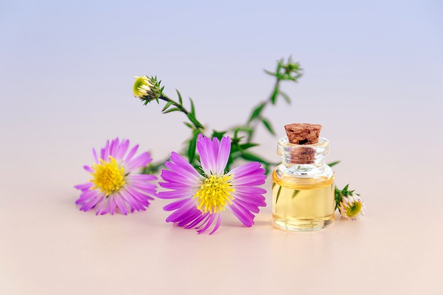 Essential Oils vs. Herbal Medicine