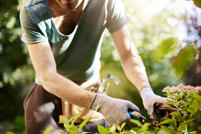 Wildcrafting and Foraging