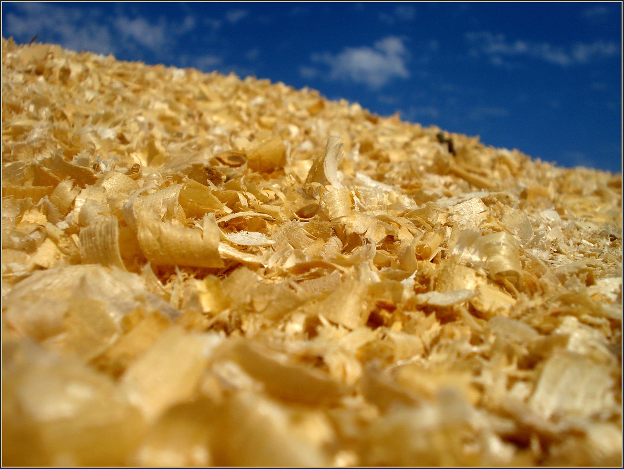 Wood Chips for Compost (The Grow Network)