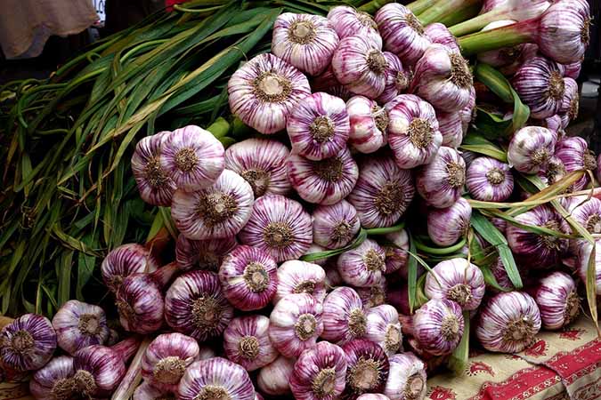An abundant garlic harvest (The Grow Network)