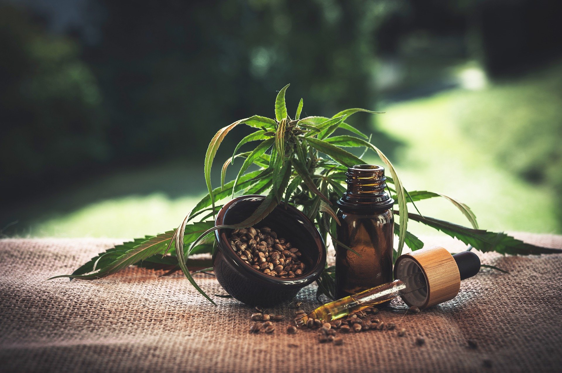 CBD Oil, Hemp Seed Oil, and Hemp Oil What's the Difference? The Grow
