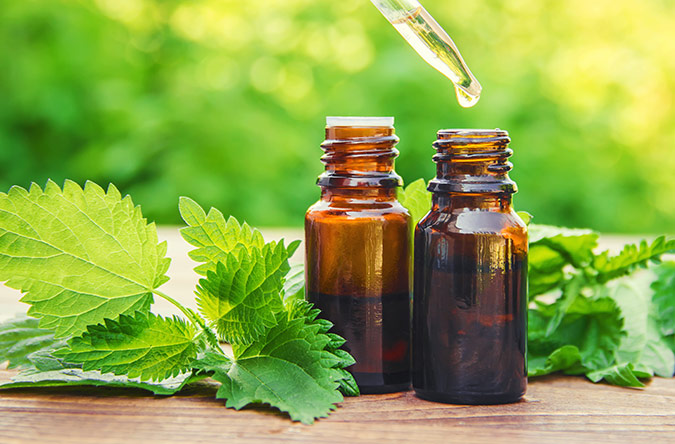 A medicinal tincture is one of many ways to come by stinging nettle's healing properties. (The Grow Network)