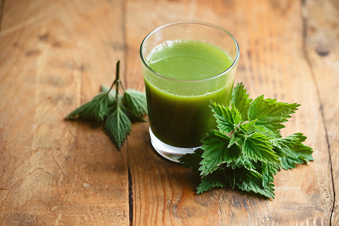 Fresh nettle juice is highly potent not only when consumed but also when used as a soak to ease arthritis. (The Grow Network)