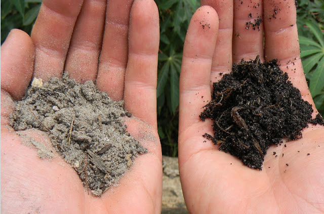 How to Fix Terrible Soil