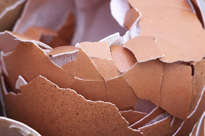 Use egg shells to add calcium back to the soil