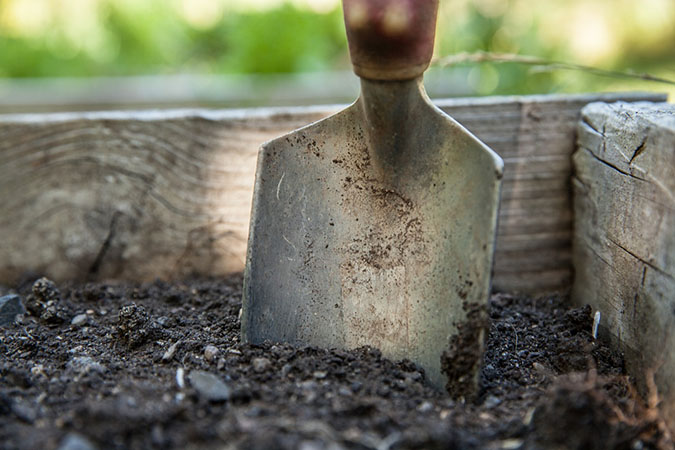 Homemade fertilizers help replenish the soil