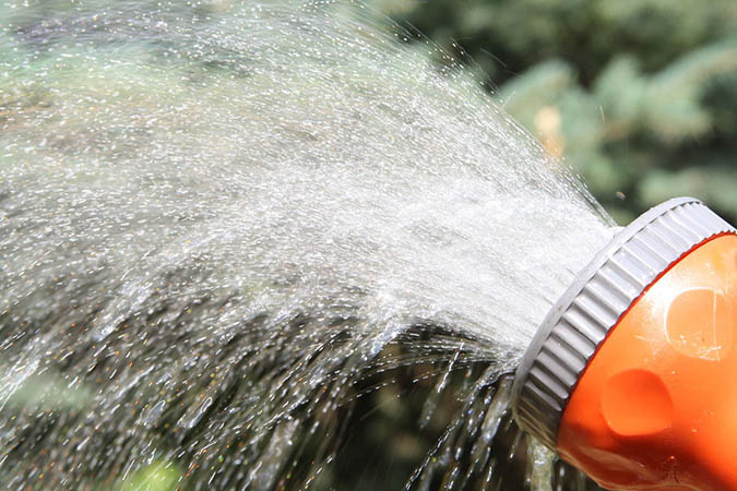 As a first step in preventing fungus, make sure you are irrigating properly. (The Grow Network)