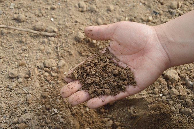 Assessing your soil type in order to improve your soil (The Grow Network)