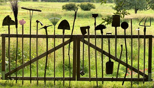 3 Must-Have Gardening Tools