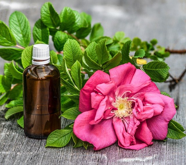 12_Uses_For_Rose_Petals-Rose_Oil-The_Grow_Network