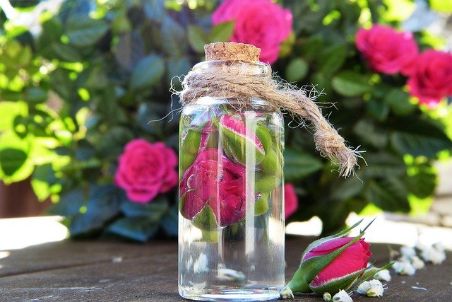 12_Uses_For_Rose_Petals-Rose_Water-The_Grow_Network