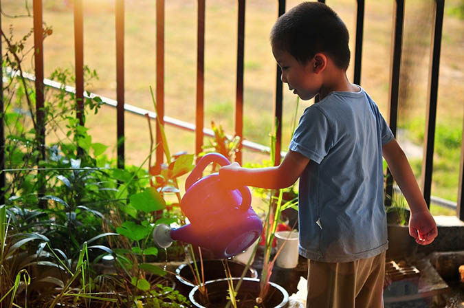Here's the schedule to use when fertilizing your container garden (The Grow Network)