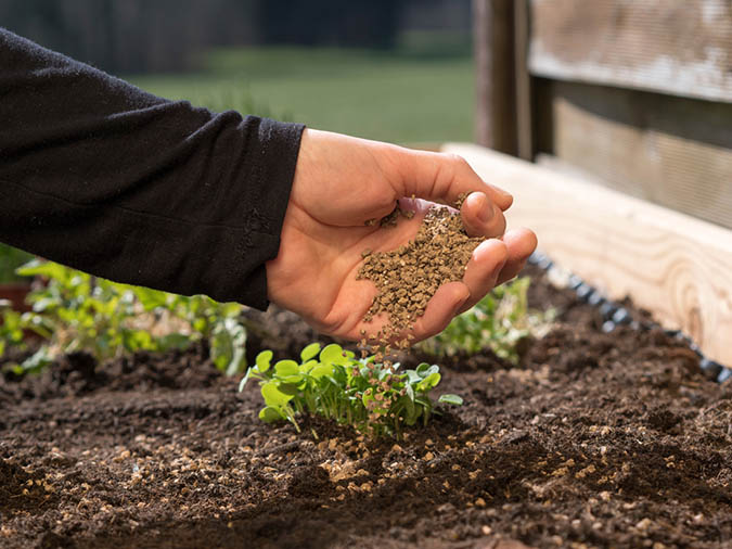 How to use granular fertilizer with containerized plants (The Grow Network)