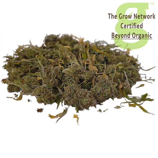 medicinal-grade-cbd-herb-main-with-bo-logo-clean