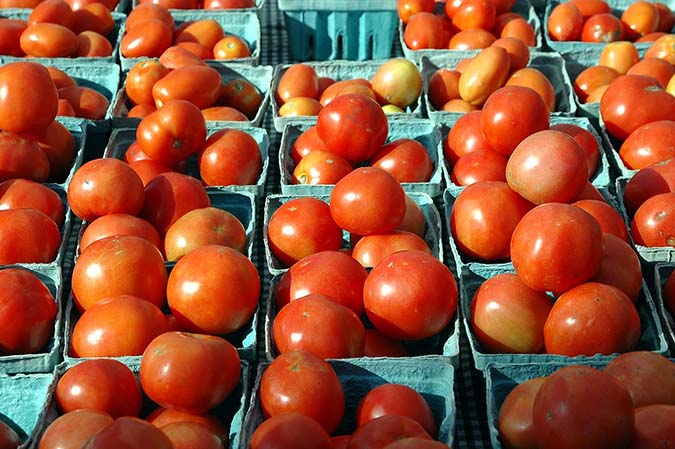 What tomato varieties are grown commercially in your area? (The Grow Network)
