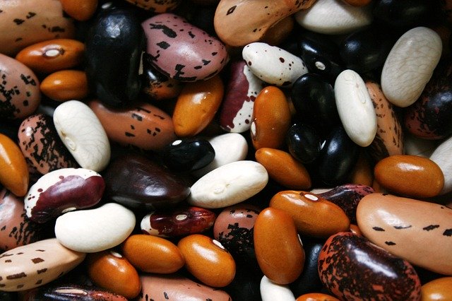 How Long Will Dry Beans Last in Storage?