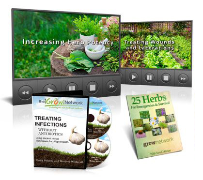 treating-infections-without-antibiotics-DVD-with-bonuses