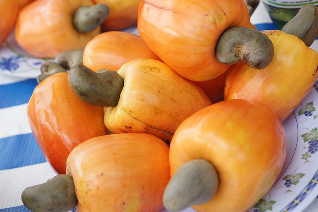 How_To_Grow_Fruit_Trees_From_Seed-Cashew-The_Grow_Network