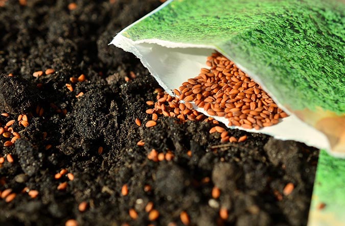 Get ready to start seeds!