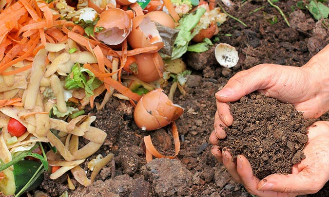 Rich organic compost is a basic building block of healthy soil. (The Grow Network)