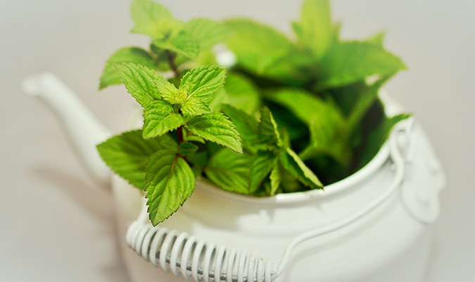 Peppermint is a traditional ingredient in tooth powder. The Grow Network