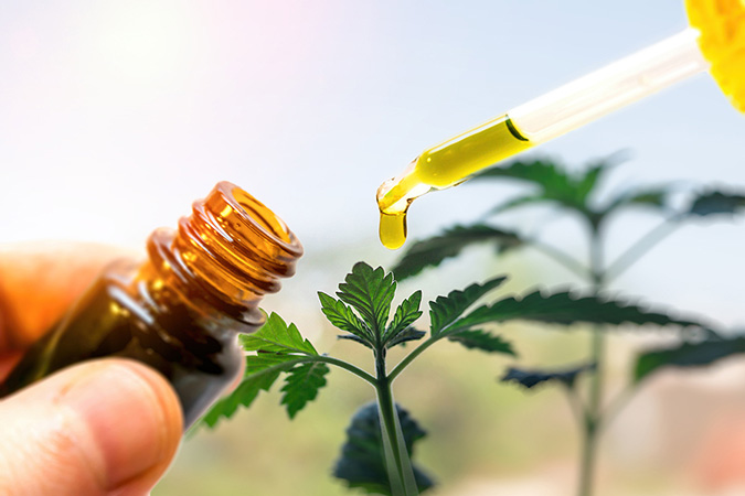 CBD Oil, Hemp Seed Oil, and Hemp Oil: What's the Difference?