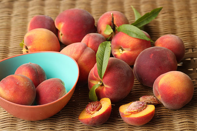 Growing a peach tree from seed is not only possible ... but also easy! (The Grow Network) 