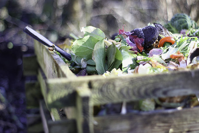 Many organic gardeners add 3-4 inches of compost to their gardens each year. (The Grow Network)