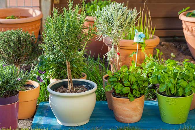Make DIY potting soil your plants will love with this simple recipe. (The Grow Network)