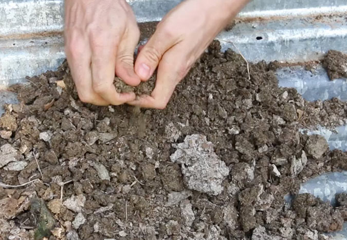 Aged manure improves soil structure and provides a slow release of important nutrients. (The Grow Network)