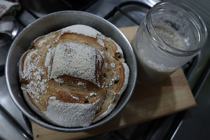 Here's how to capture wild yeast for your sourdough starter in 6 steps. (The Grow Network)