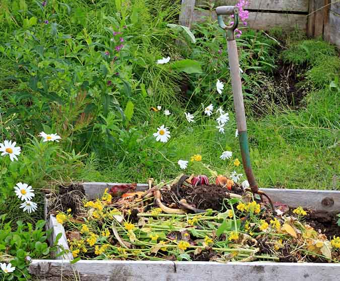 Compost is an alternate ingredient in this homemade potting soil recipe. (The Grow Network) 