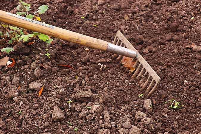 A hard-tined landscape rake is an essential garden hand tool. (The Grow Network)